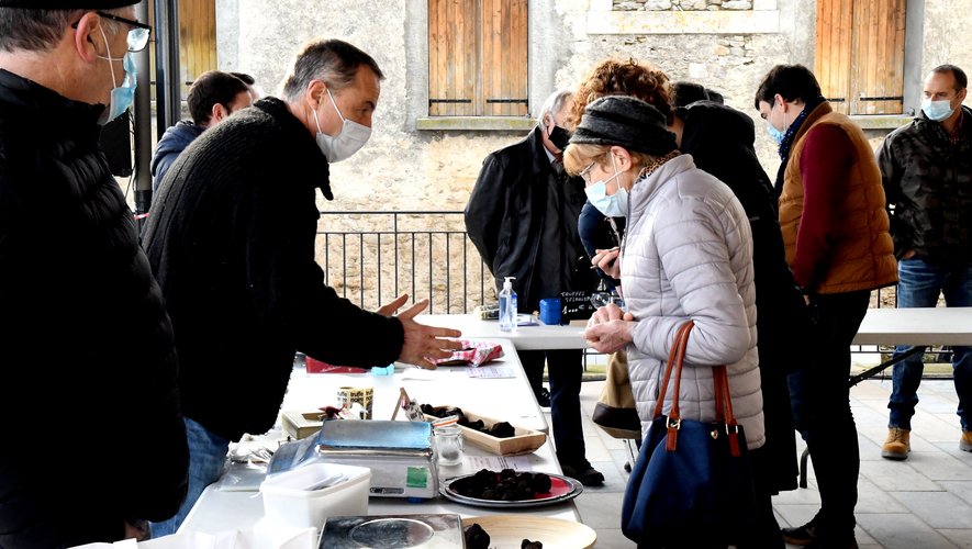 découvrez les marchés aux truffes de l'aude, une expérience gourmande unique où dégustation et découverte des trésors de la gastronomie locale s'entremêlent. plongez dans l'univers fascinant de la truffe, appréciez la richesse du terroir et profitez d'animations captivantes lors de ces événements incontournables.