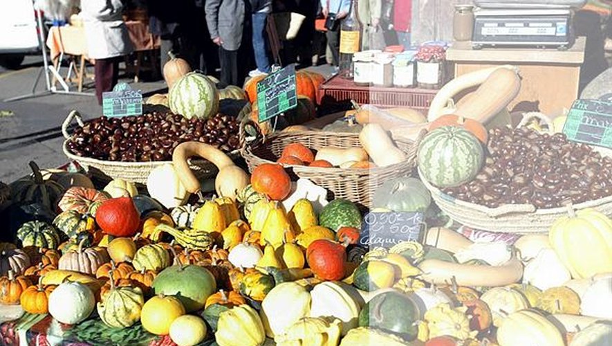 découvrez neuville-de-poitou, une destination où vins exceptionnels et gastronomie solidaire se rencontrent. savourez des plats locaux élaborés avec passion tout en soutenant des initiatives responsables et durables.