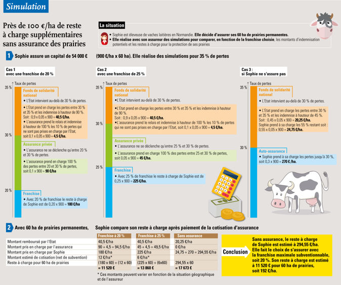 découvrez comment optimiser vos recours en cas de sinistre sur vos prairies avec notre guide complet sur l'assurance. protégez vos cultures et assurez-vous d'être bien indemnisé en cas de besoin.
