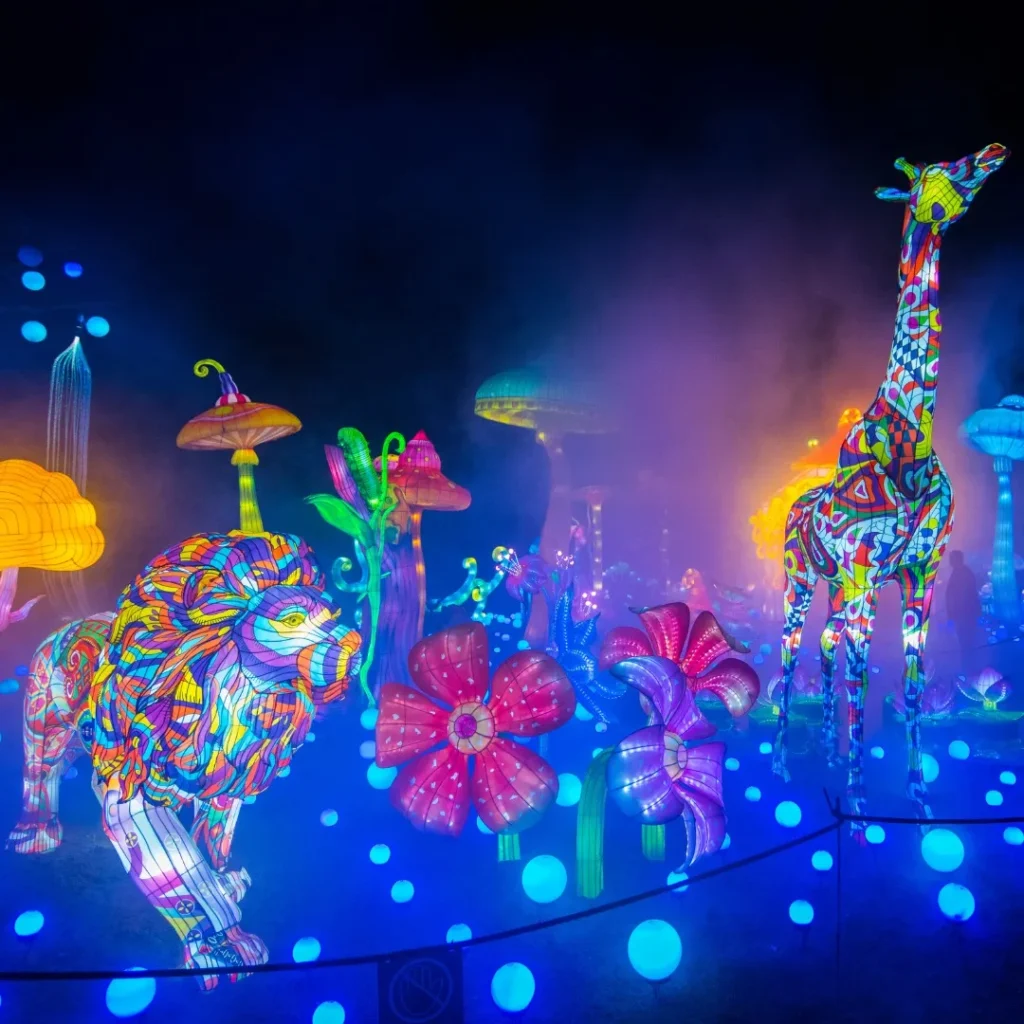 découvrez la magie du festival lumineux à pékin : un événement spectaculaire où des installations lumineuses transforment la ville en un paysage féerique. profitez d’illuminations uniques et d’une expérience culturelle inoubliable à pékin.