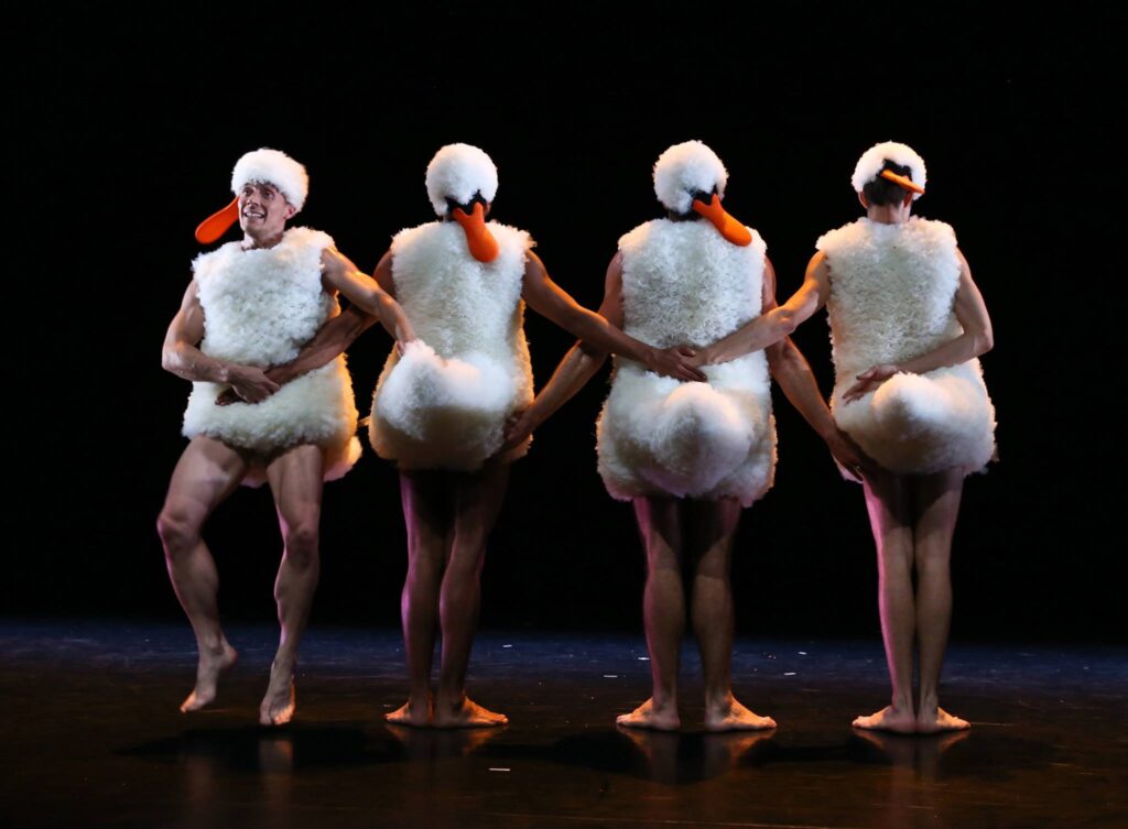 découvrez une analyse approfondie du spectacle 'tutu' par la compagnie chicos mambo, explorant ses thèmes, sa mise en scène et son impact artistique.