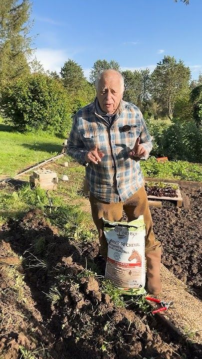découvrez comment cultiver un potager avec des pommes de terre savoureuses et des buis décoratifs pour un jardin à la fois productif et esthétique.