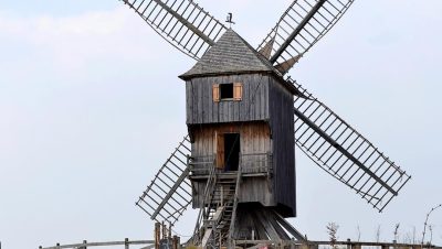 découvrez "moulin", le film sensation qui a captivé le festival de cannes avec son intrigue intense et son réalisme saisissant.